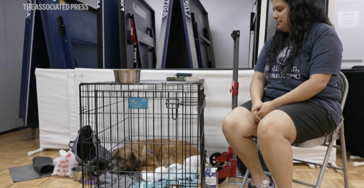 Screenshot 2024-07-11 at 12.15.53 AM